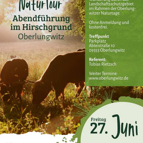 2025.05.19 - LPV - Veranstaltungen in Oberlungwitz_Flyer Abendführung.jpg